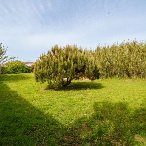 Pet-friendly quiet motorhome stay near Porto, close to the ocean in the North of Portugal.